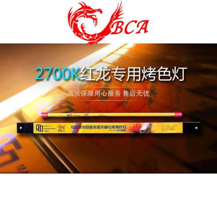 MAYIN 2700K Tanning Light
