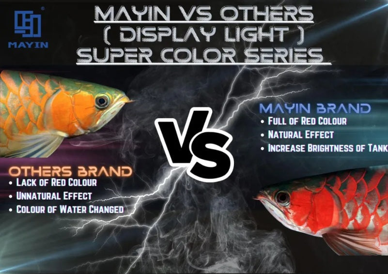 MAYIN Super Colour 3 Plus LED Light